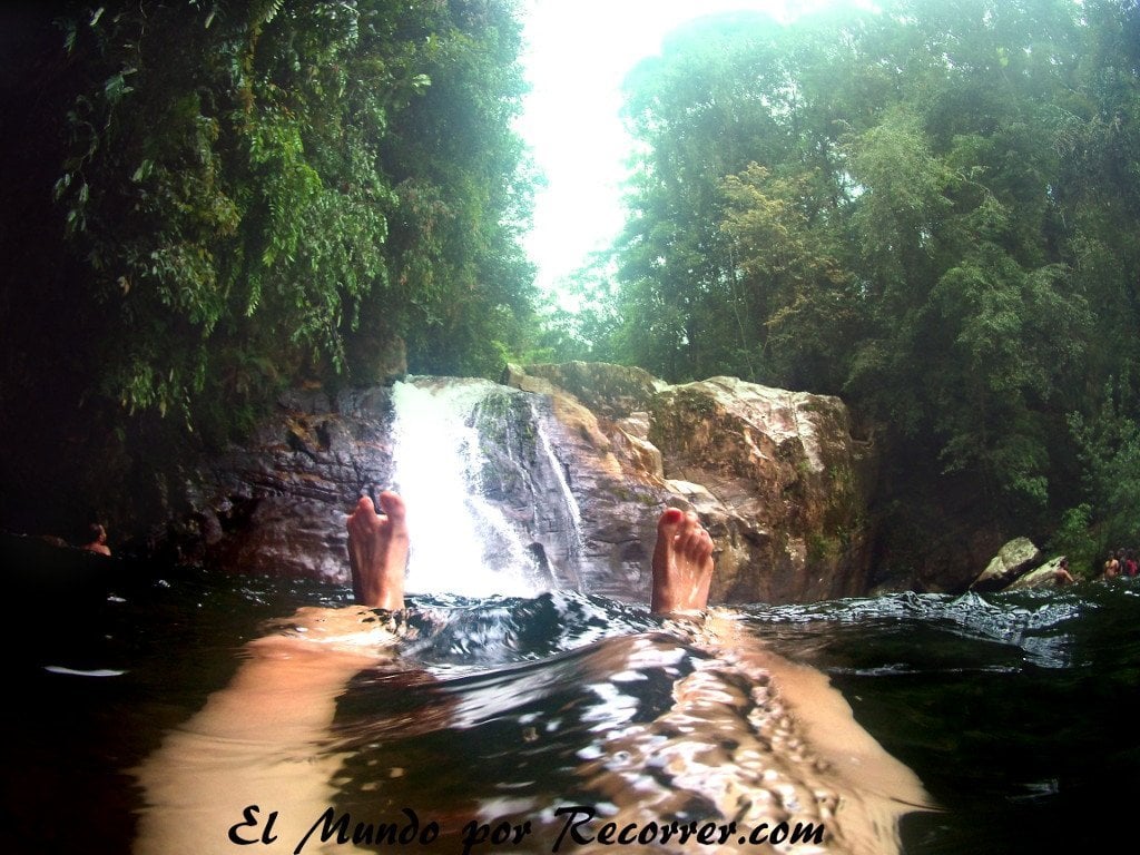 Sri lanka Srilanka rainforest sinharaja bosque tropical viajes lluvia mundo recorrer